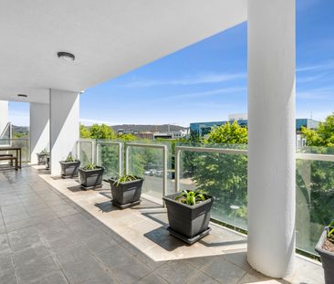 61/45 Blackall Street, Barton ACT 2600 - Apartment For Rent | Domain - Photo 5