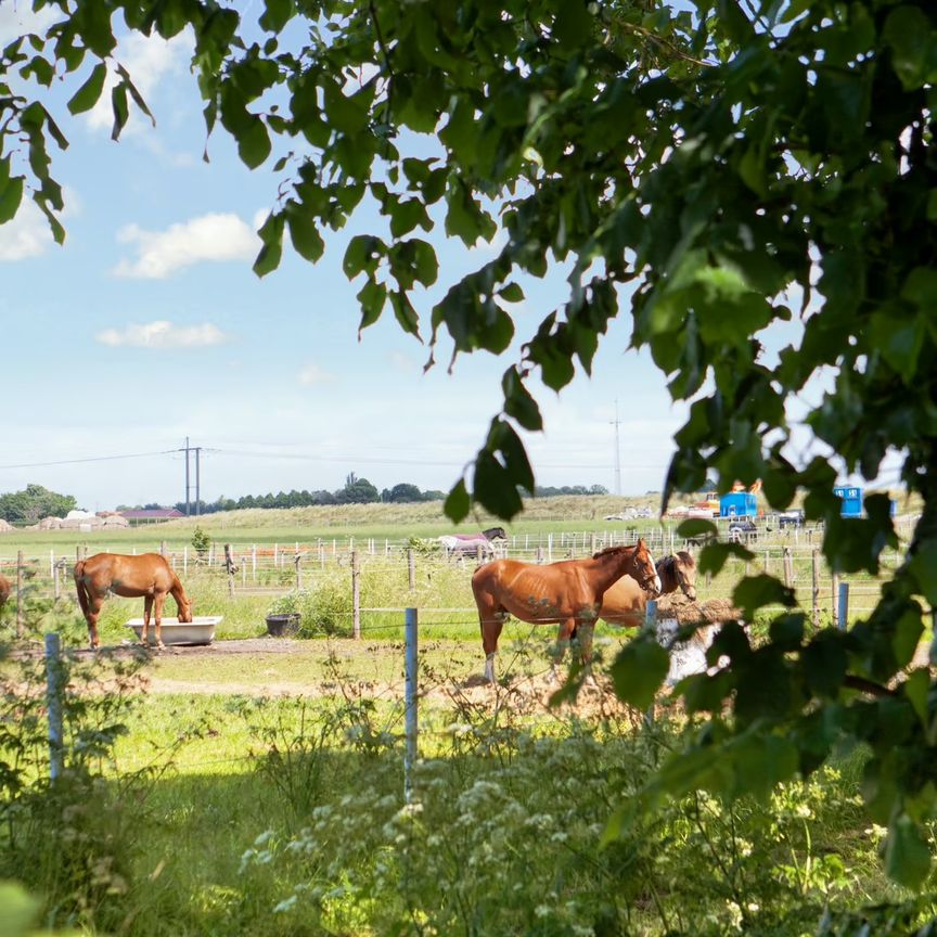 Rängs byväg, Vellinge - Photo 1