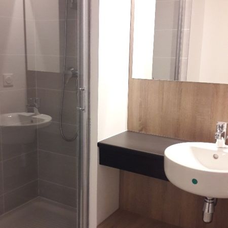 Location Appartement 1 pièce 20m² LYON 7ème - Photo 3