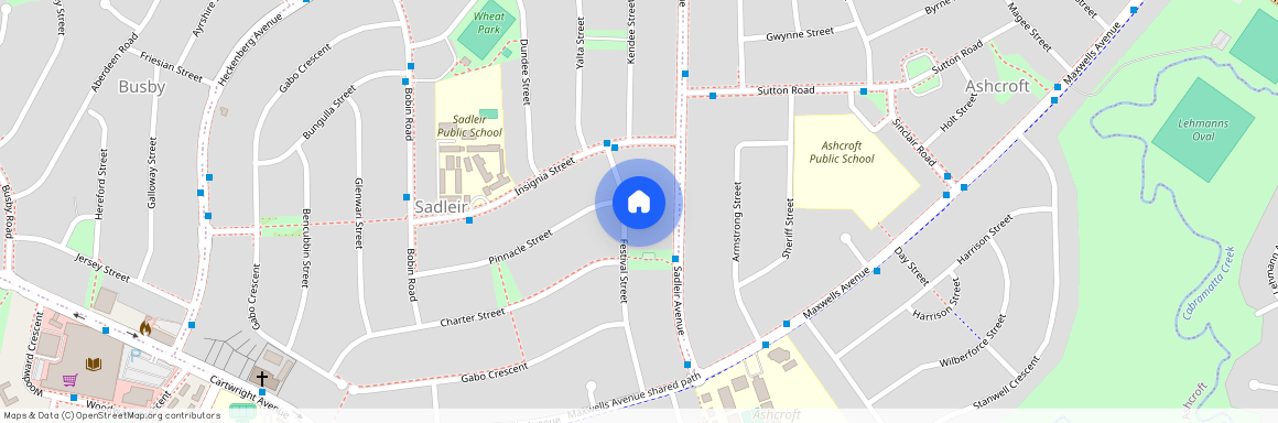 39 Festival Street, NSW 2168, Sadleir