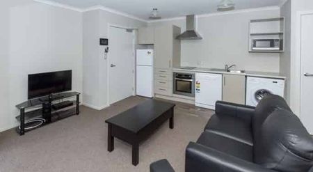 Furnished One Bedroom Apartment - Photo 5