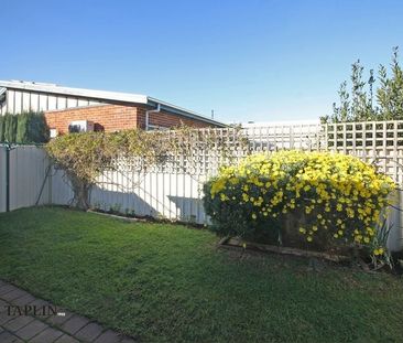 10A Stonehouse Avenue, Camden Park - Photo 6