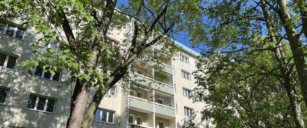 3-Raum-Wohnung - Foto 1