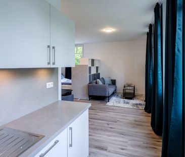 Furnished apartment in mint condition for rent - Photo 3