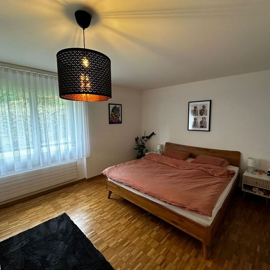APPARTEMENT 41/2 PIÈCES À STÄFA (ZH), MEUBLÉ, TEMPORAIRE - Photo 1