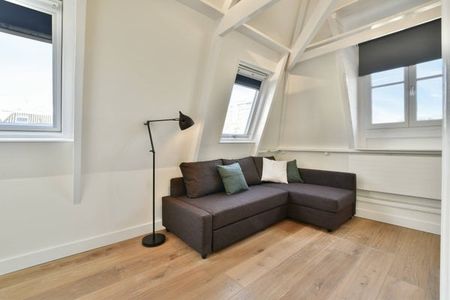 Swammerdamstraat 26 2 1091RV Amsterdam - Photo 5