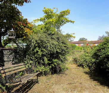 3 bedroom end of terrace house to rent - Photo 5