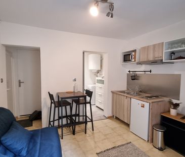 Location Appartement 1 pièce 16m² SOMMIERES 30250 - Photo 3