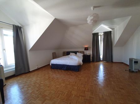 Duplex avec terrasse - Rue du Docteur-Alfred-Vincent, 1201 Genève - Foto 3