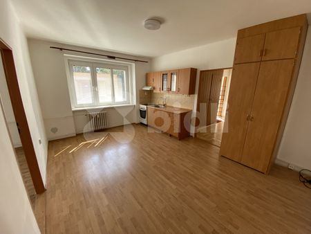 Pronájem bytu 1+1 56 m² - Photo 4