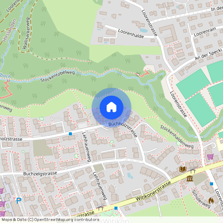 8053, Zürich, Buchholzstrasse, 135