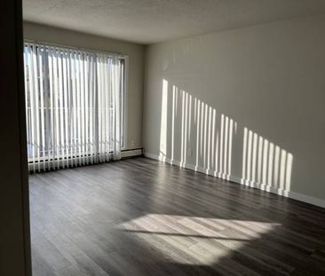 $1150 1 bed 1 bath - Photo 1