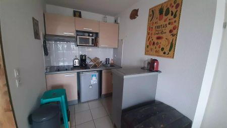 location Appartement T2 DE 42.44m² À NANTES - Photo 5
