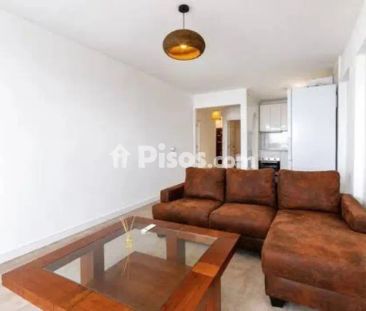 Piso en alquiler en Andratx - Photo 1