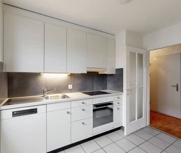 4 Zimmer, 75 m², EG - Photo 2