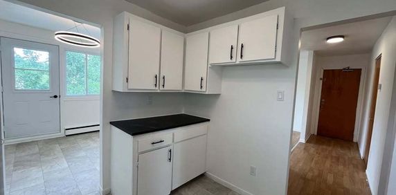 BEAU 4 1/2 | CHAUFFAGE & EAU CHAUDE - Photo 2