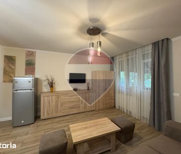 Apartament cu 1 camera de închiriat - zona Malul Muresului - Fotografie 2