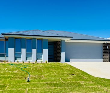 20 Whitebox Street, Orange NSW 2800 - House For Rent | Domain - Photo 2