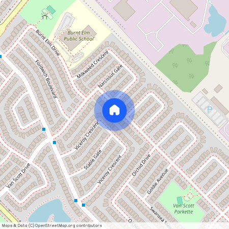 204 Van Scott (Basement) Drive, Brampton