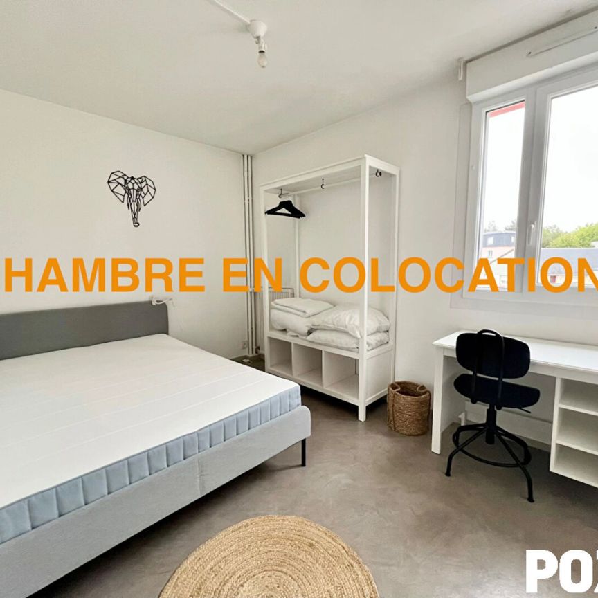Chambre MEUBLÉE à louer en COLOCATION - Photo 1
