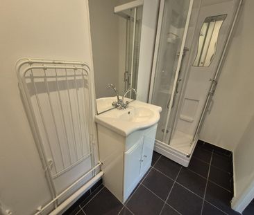 Location Appartement 1 pièce 23m² LILLE 59000 - Photo 3