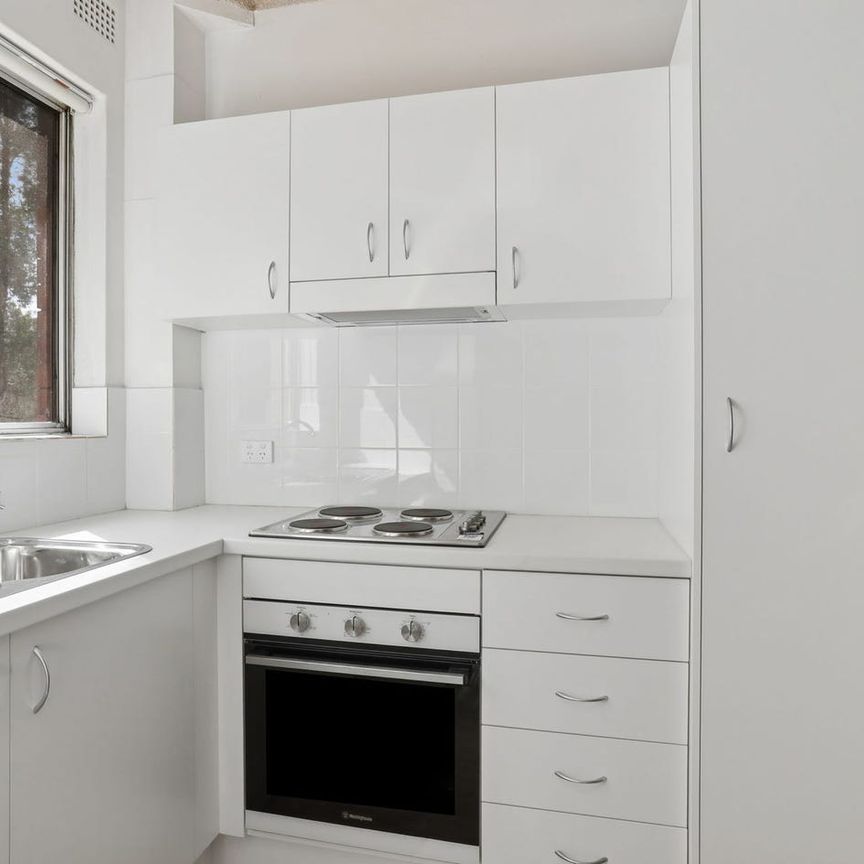 Newly Renovated Apartment in Convenient Location - Photo 1