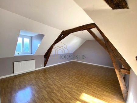 MEHUN SUR YEVRE - BEL APPARTEMENT AVEC CHARME - Photo 4