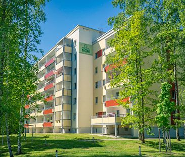 Ebenerdig erreichbare 1-Raum-Wohnung mit Balkon - Foto 2