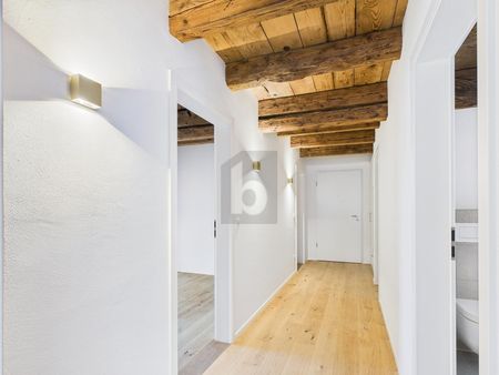 MODERN STANDARD, HISTORIC, BEST LOCATION - Foto 4