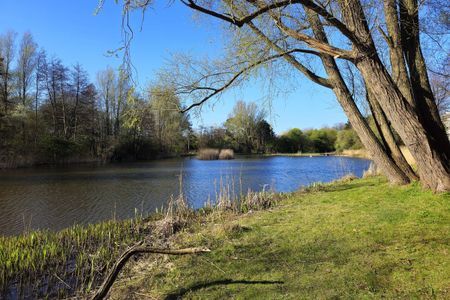 Segbroeklaan 538 - Photo 5