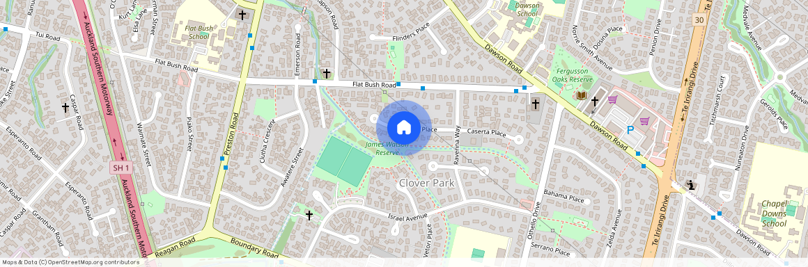 16 Palermo Place, Clover Park, Auckland