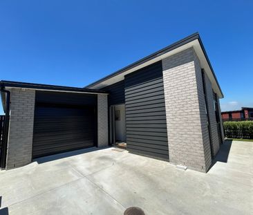 Bronze Delight - Papamoa - Photo 4