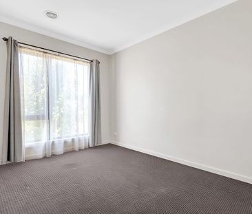 Look No Further.. - Photo 2