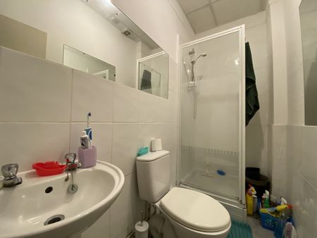 Llanbleddian Gardens GFF, Cathays - Photo 4