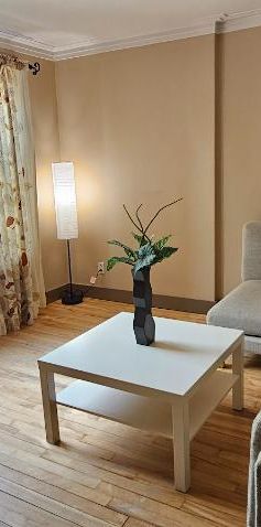 Grand 5 1/2 à louer MEUBLÉ + climatisation et jardin @ long terme - DISPONIBLE - Photo 1