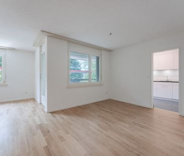 Modern Living - Photo 3