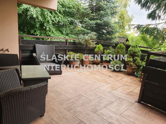 Gołonóg, Storczyków, Dąbrowa Górnicza - Photo 1