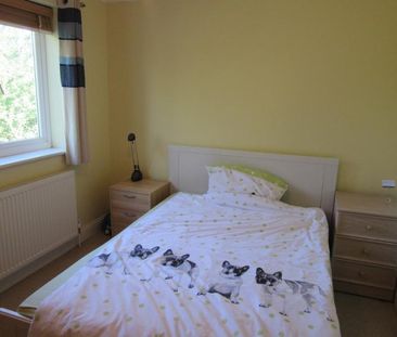 2 bedroom semi-detached house to rent - Photo 4