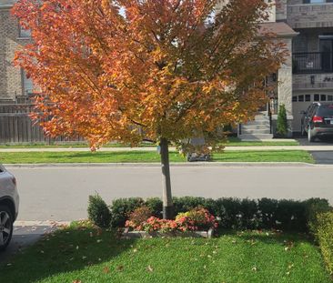 For Lease - 23 Terry Crescent, Clarington, Ontario - Photo 6