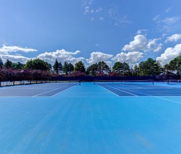 For Lease - 22 Rambling Way Unit# 56, Collingwood, Ontario - Photo 6