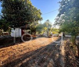Μονοκατοικία για ενοικίαση - Αμαλιάδα, - Φωτογραφία 6