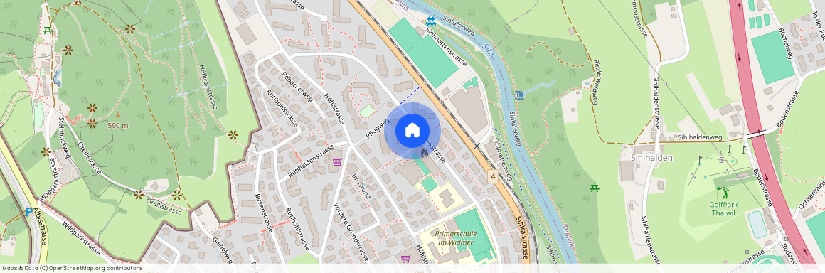 Breitwiesstr, 66, 8135 Langnau am Albis