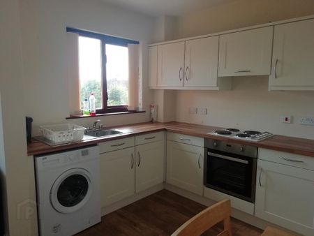 24 Lockside Court, Belfast, BT9 5GQ - Photo 5