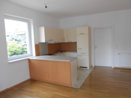 Sonnige 3-Zimmer Wohnung in der Sophiengutstraße 31 / Froschberg - Foto 2