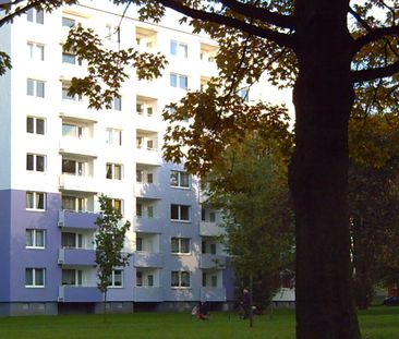 2-Zimmer-Wohnung mit Balkon in Dortmund-Wickede mieten - Photo 3