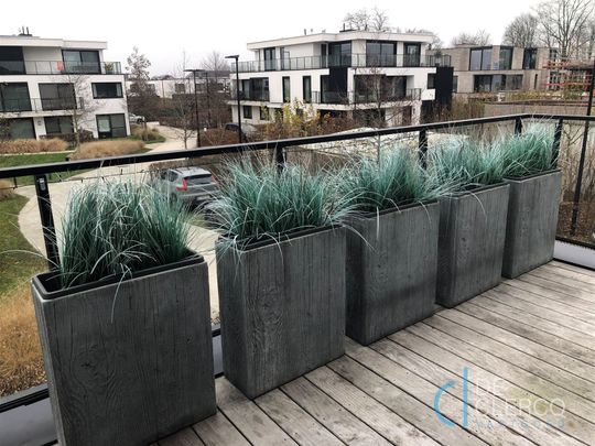 Prachtig afgewerkt en zeer ruim instapklaar appartement TE HUUR hartje Lochristi! - Photo 1