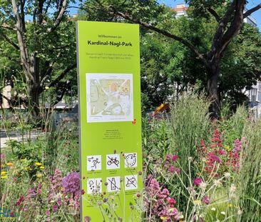 Tolle 2 Zimmer DG-Wohnung in Ruhelage inkl. Nutzung Gemeinschaftste... - Photo 2