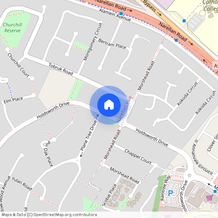 117 Holdsworth Drive, NSW 2567, Narellan