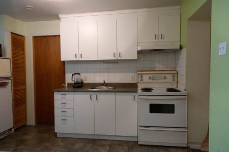 Condo for rent, Montréal (Le Plateau-Mont-Royal) - Photo 4