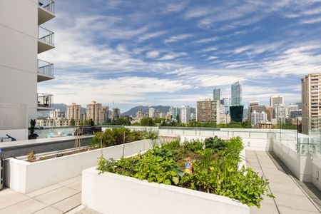 1108 Pendrell Street, Vancouver - Photo 4